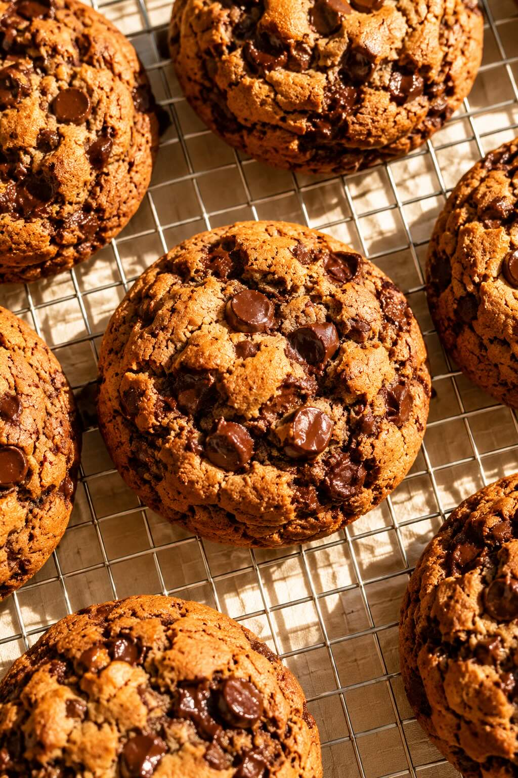 Chewy chocolate chip cookies